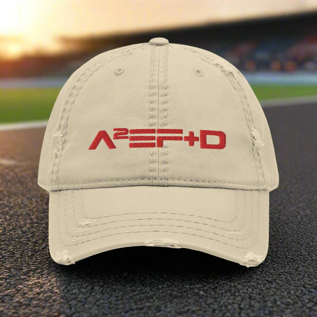 Against All Enemies Distressed Dad Hat (Moto)